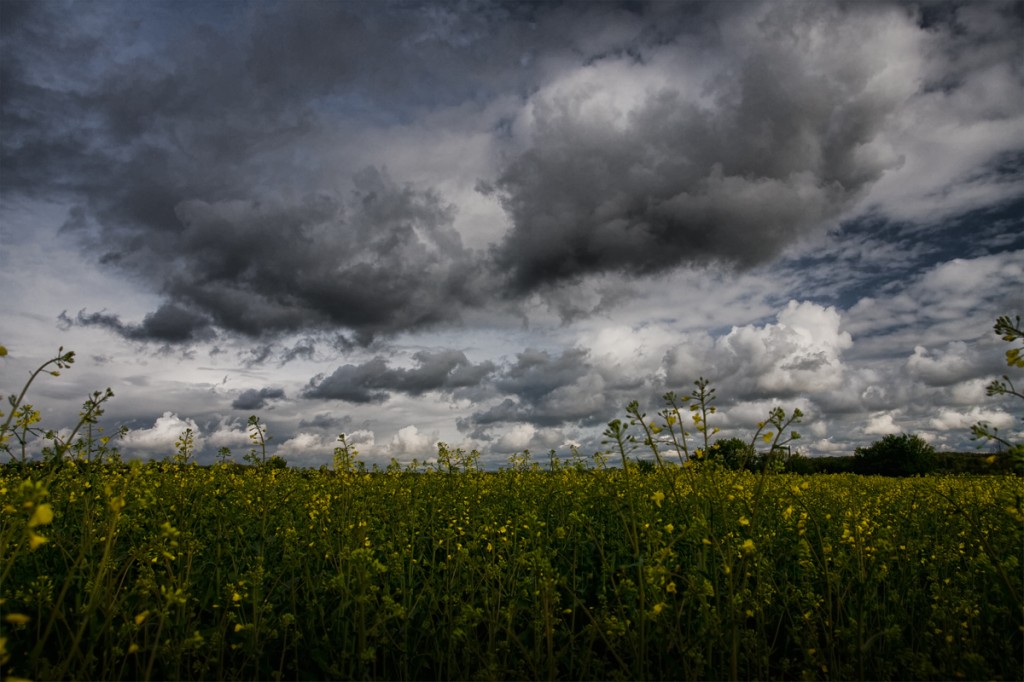 Raps und Wolken