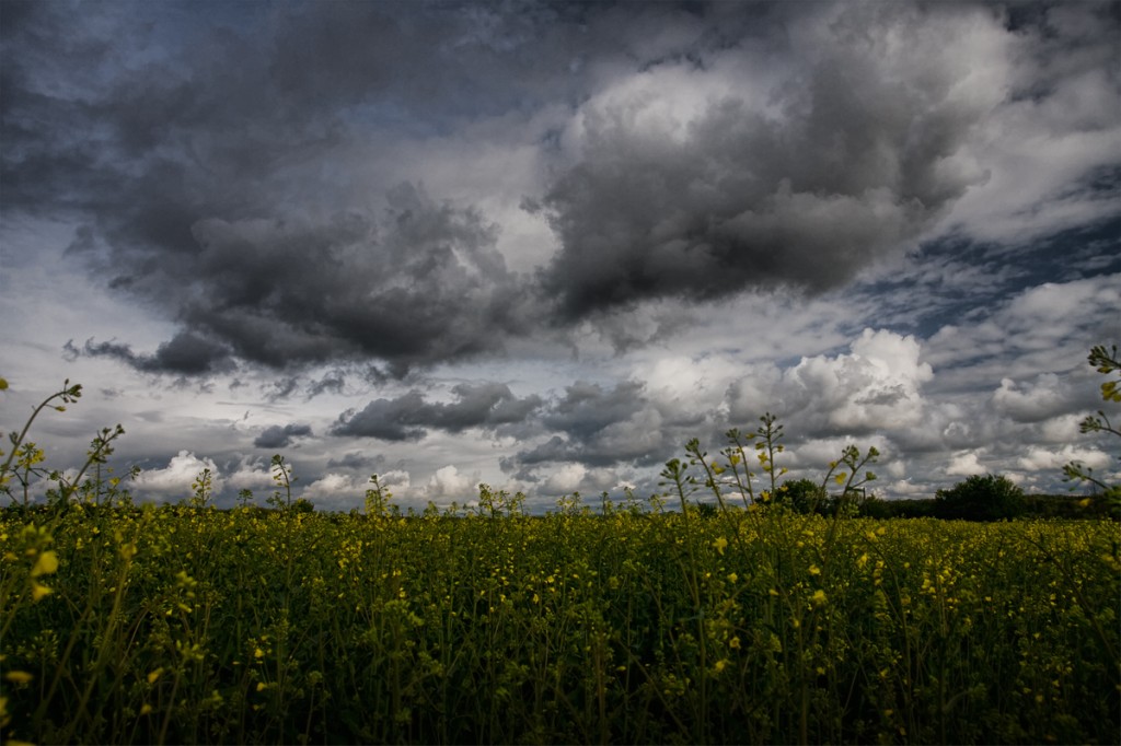 Raps und Wolken