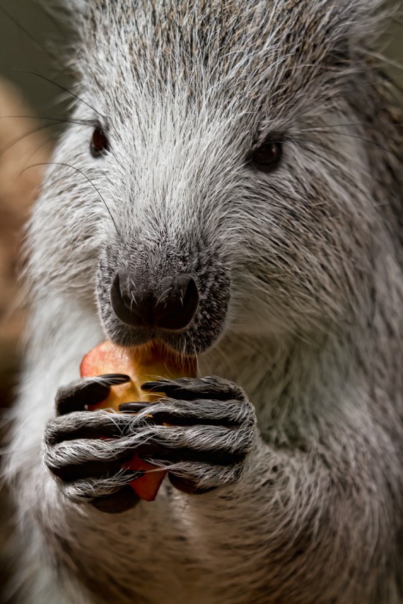 Das schmeckt lecker!