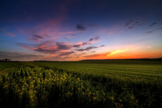 Kurz vor Sonnenaufgang