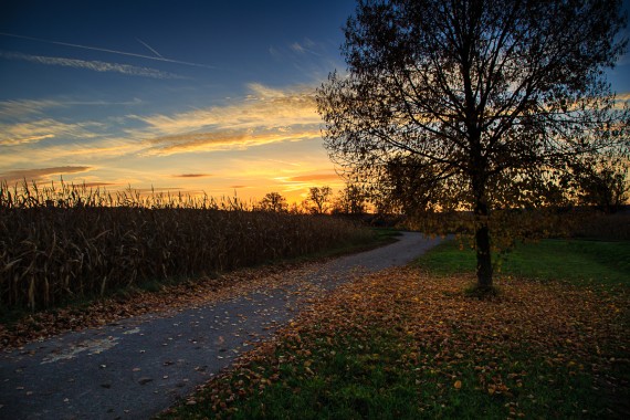 Weg in die Sonne