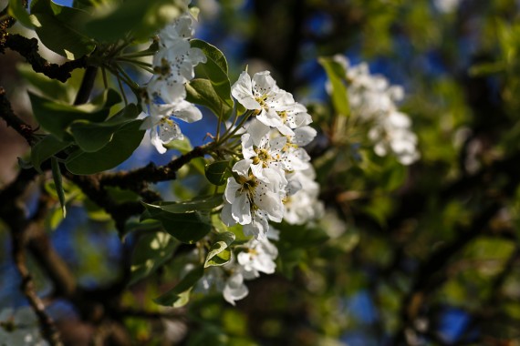 Endlich Frühling