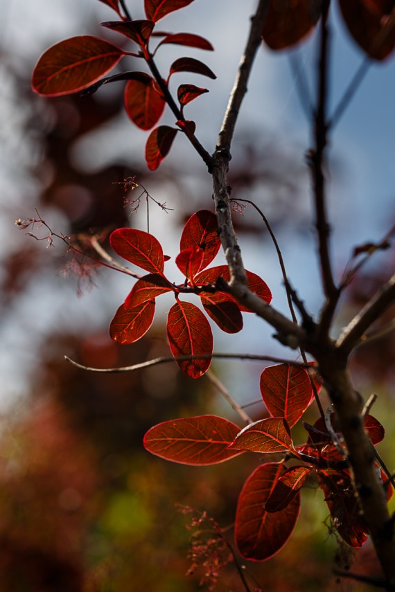 Leuchtende Farben