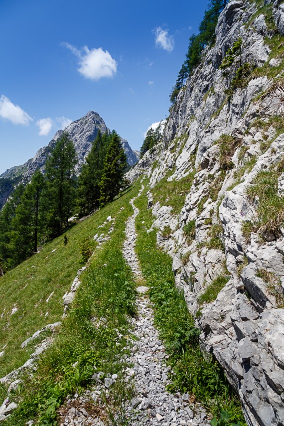 Auf dem Weg zum Malurch