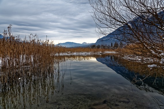 Ein Blick unter die Oberfläche...