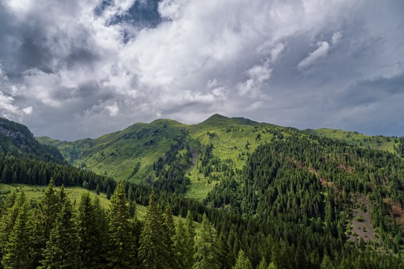 Blick von der Straniger Alm