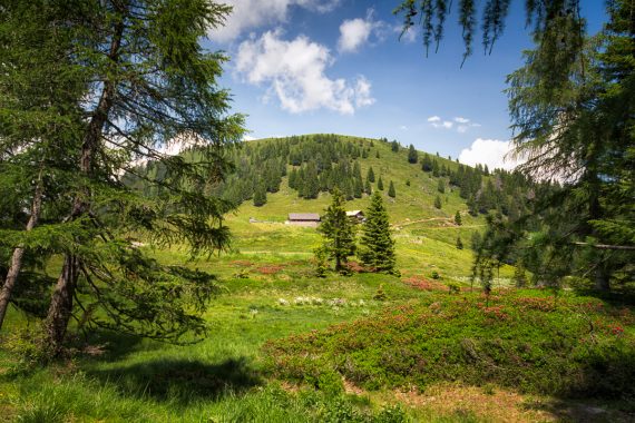 Rosserhütte am Hochplateau des Zollner