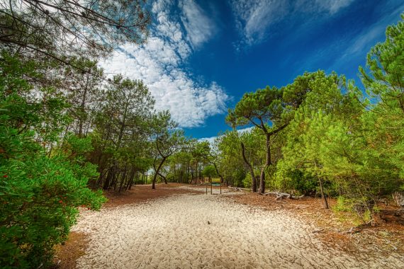 Plage du Grand Crohot, Aquitaine, France 